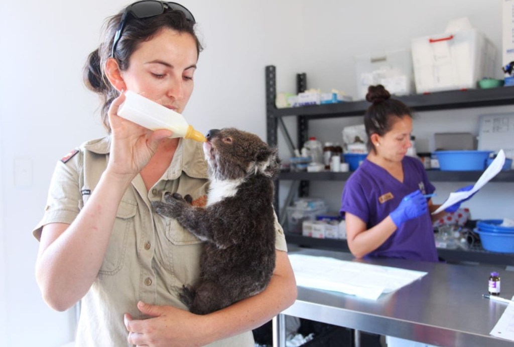 According tojaa report inatyli&nbsp;Nature